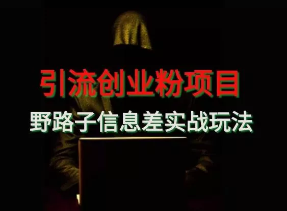 【引流创业粉】野路子信息差玩法实战教学