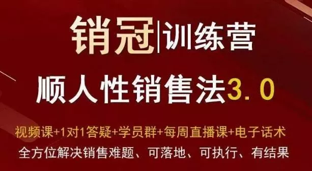 爆款！销冠训练营3.0之顺人性销售法，全方位解决销售难题、可落地、可执行、有结果