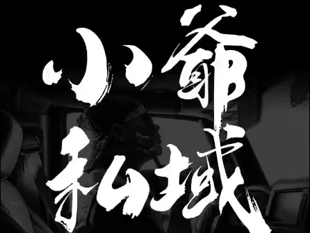 小爷·私域项目操盘手